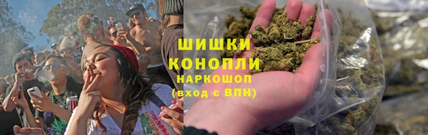 PSILOCYBIN Белокуриха