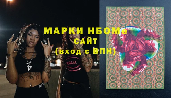 PSILOCYBIN Белокуриха