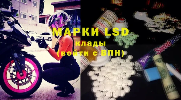 PSILOCYBIN Белокуриха