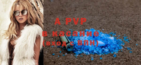 PSILOCYBIN Белокуриха