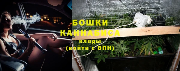 PSILOCYBIN Белокуриха