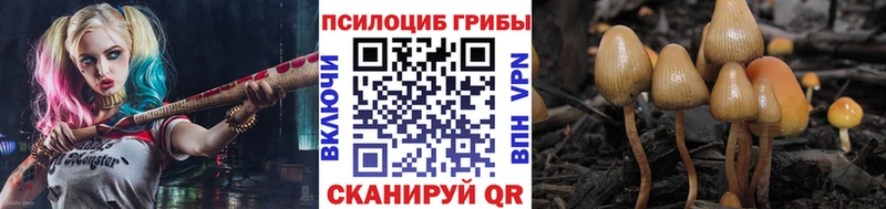 Псилоцибиновые грибы мицелий Сковородино