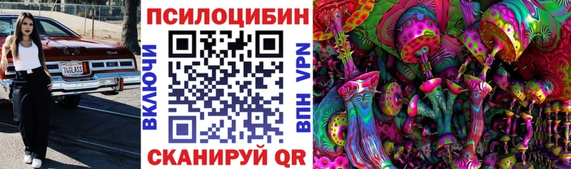 Псилоцибиновые грибы Magic Shrooms  Сковородино 